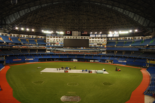 Astroturf 3d at Toronto Blue Jays - 3d